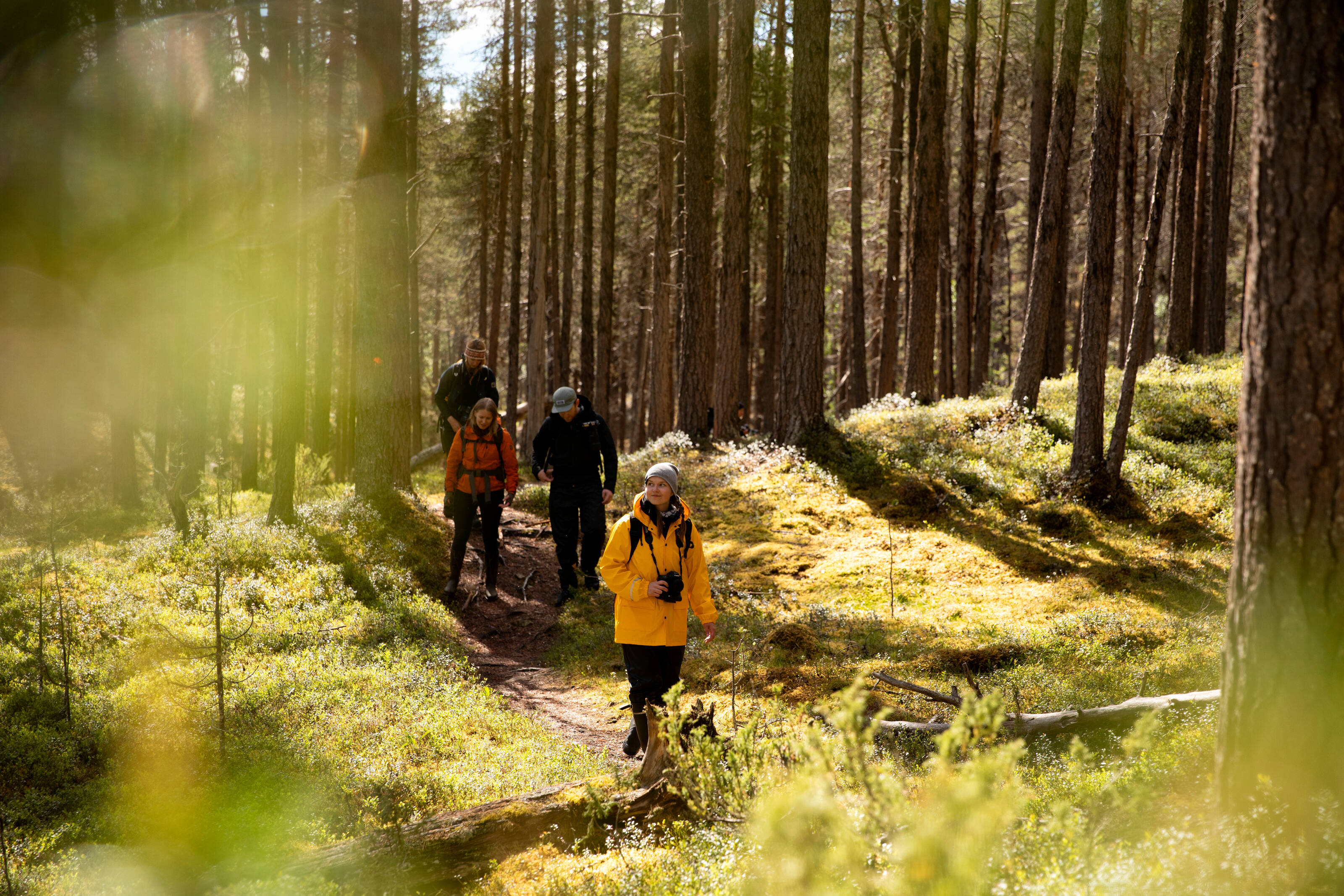 <h2 class="color-brand">Enontekiö</h2><p>Enontekiö is home to Finland’s highest fells and some of the most dramatic Arctic landscapes. The snowless season invites for hiking, climbing, paddling, and discovering Sámi culture. It’s an ideal destination for those seeking remote, raw nature and true wilderness experiences.<br><span style="font-size: 12px;" data-mce-style="font-size: 12px;">© Harri Tarvainen</span></p>